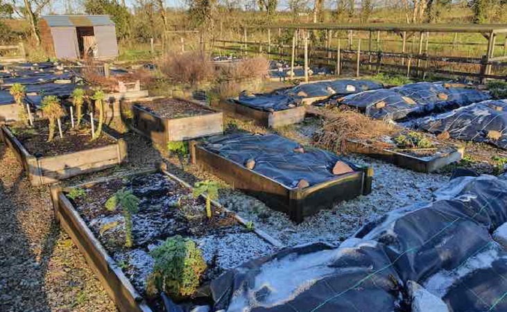 raised beds with protective covering