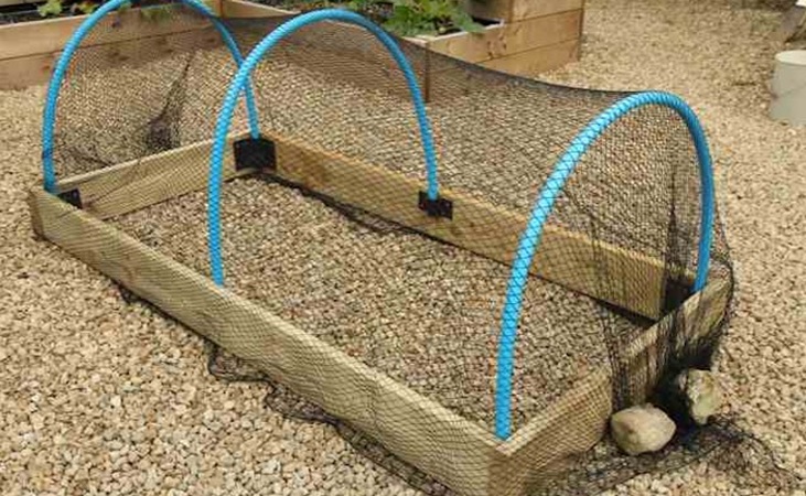 Raised Bed netting cover weighed down at the edges with large stones.