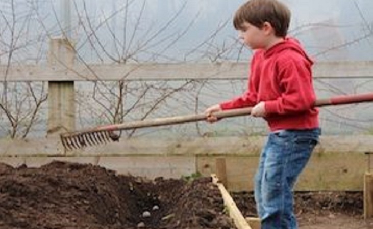 A child raking soil in a raised bed