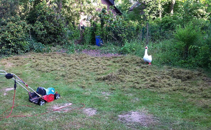 a lawn scarifier with unkempt lawn