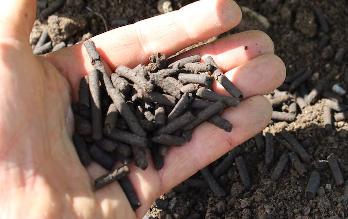 A handful of Seafeed pellets