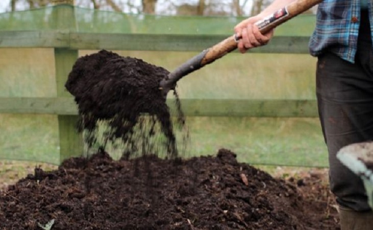 nutrient-rich compost