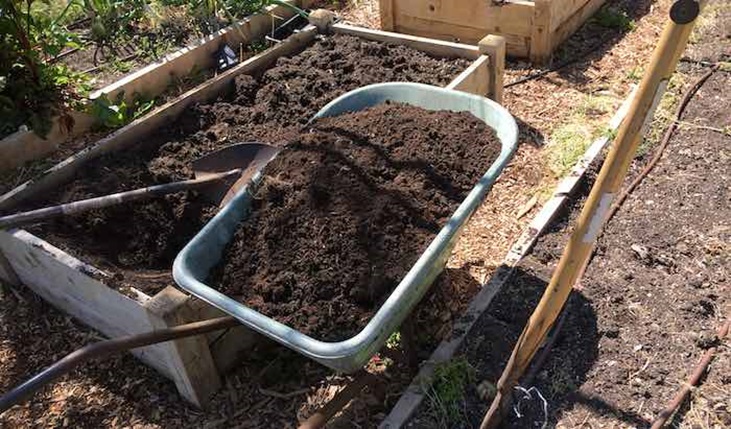 A wheelbarrow full of soil beside a raised bed
