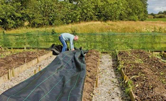 Covering soil mypex winter protection