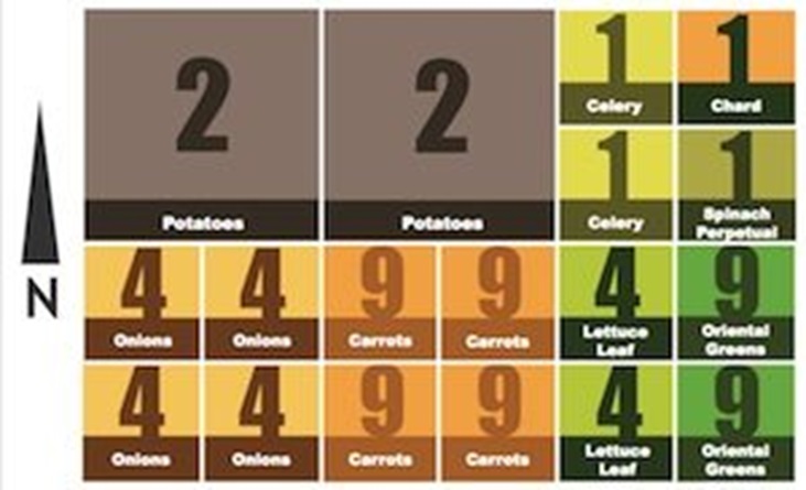 an example of a square foot garden layout