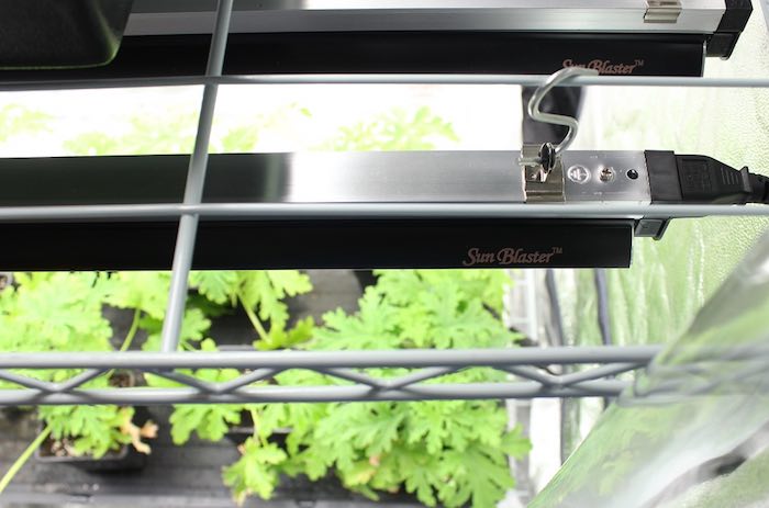 Sunblaster propagation lights