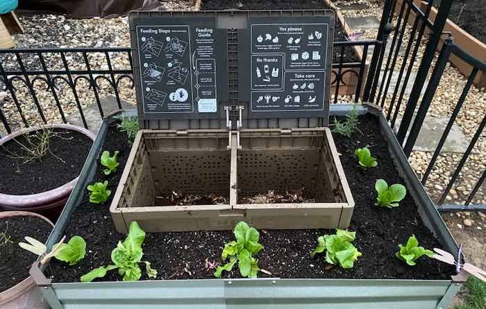 Subpod wormery in raised garden bed