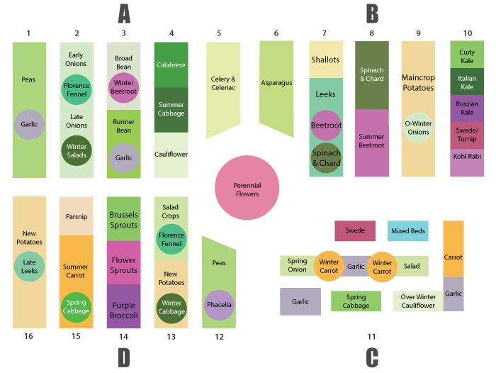 Garden Succession Planting Plan