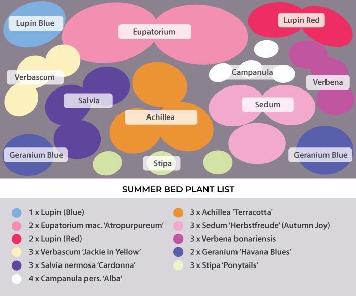 Perennial planting plan bee friendly