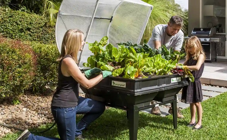 family tending to a vegtrug