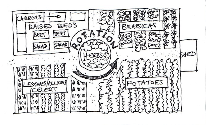 Vegetable garden rotation diagram