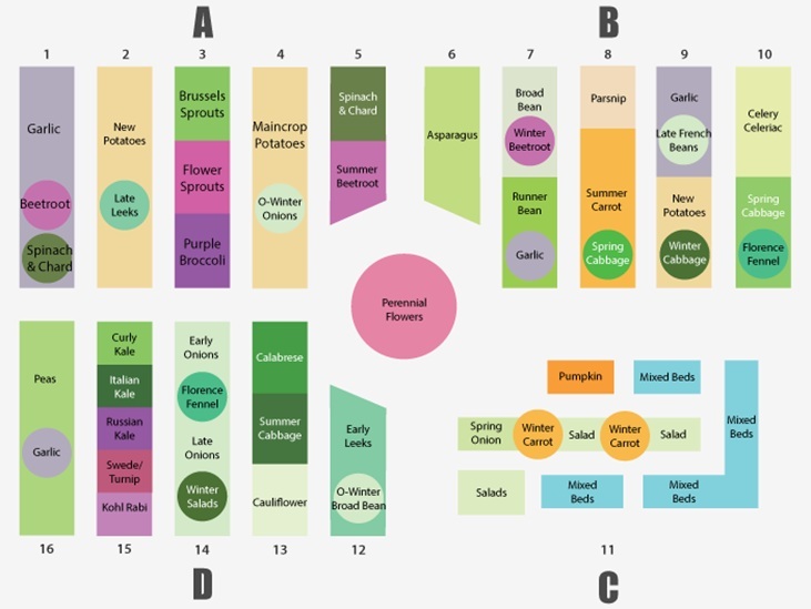 Vegetable Garden Succession Plan 2021