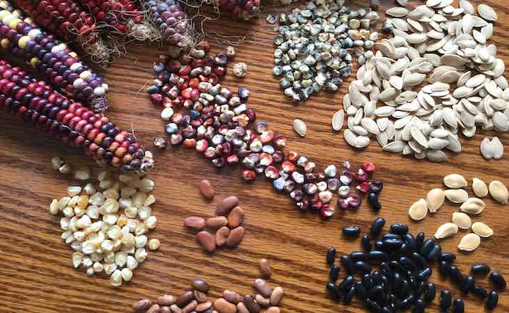 save your own vegetable seeds at home