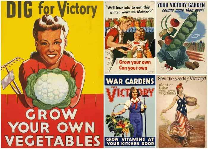 Grow your own victory garden cover 19