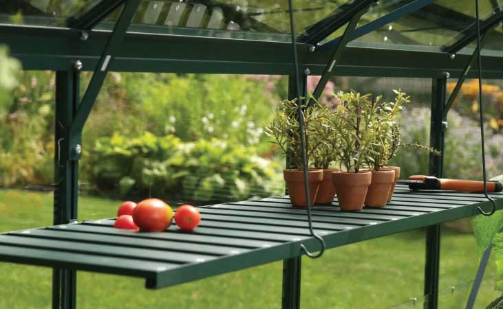 Pots and harvested tomatoes on green greenhouse staging