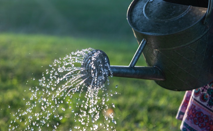 watering can