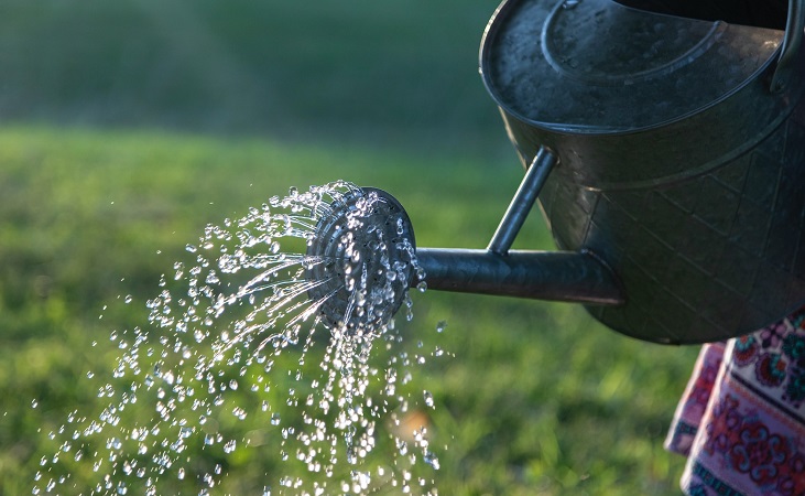 watering the outdoor garden