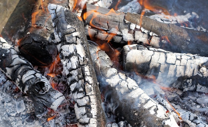 Using wood ash in the vegetable garden